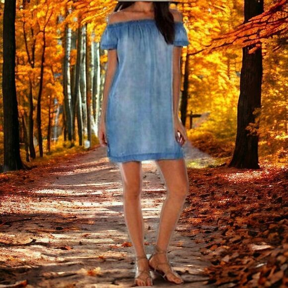 Cloth & Stone Chambray Dress Shift Mini Off Shoulder Light Wash XS Tencel Tunic - Picture 12 of 16